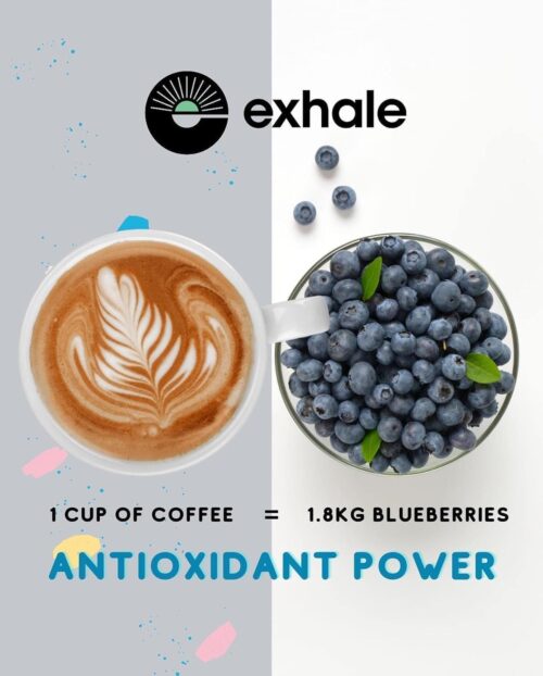 EXHALE Organic Ground Coffee – 225G PACK – Single Origin and 100% Arabica Beans. For Moka, AeroPress and Drip – Medium Roast