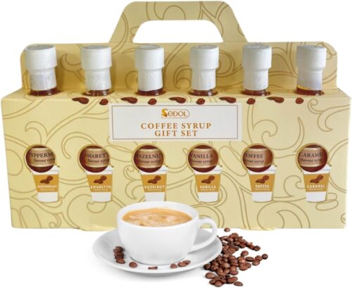 Premium Coffee Syrup Gift Set – Coffee Syrup Set of (6×75ml) Assorted Flavoured Gourmet Coffee Syrups – Vanilla Syrup, Caramel Coffee Syrup & More – Christmas Coffee Gifts for Men and Women